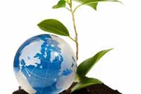 تشکیل 4 صندوق حمایت از توسعه منابع طبیعی