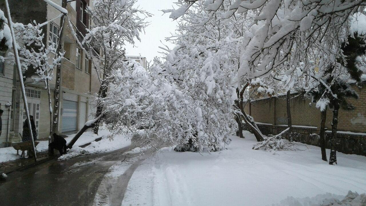 بارش برف شدید و تعطیلی مدارس