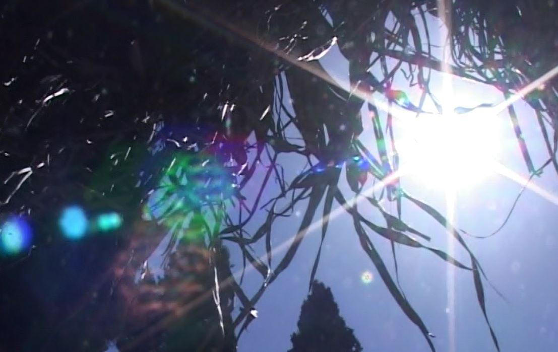 گرمای بیش از 40 درجه سانتیگراد در انتظار گلستان نشینان