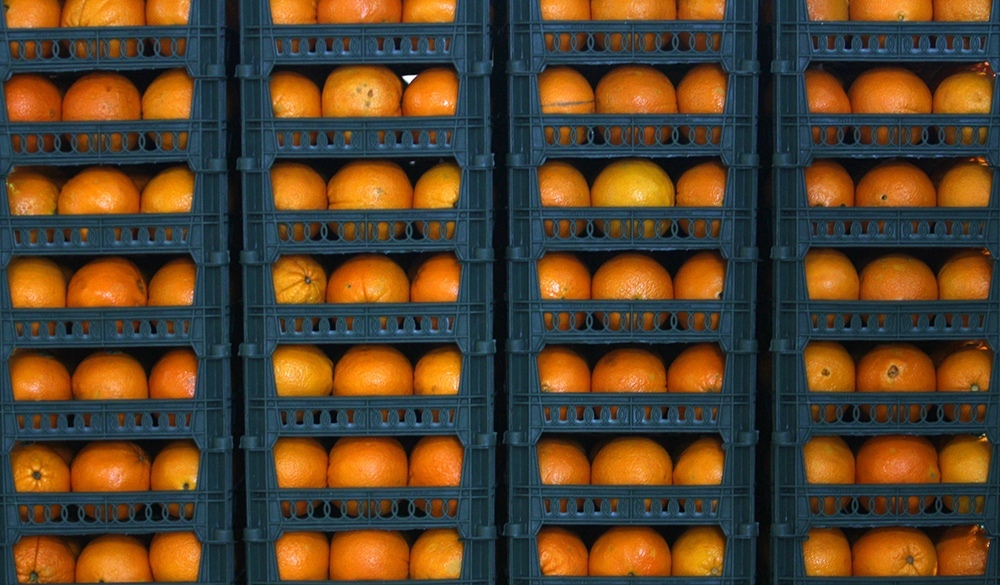 ذخیره میوه شب عید در فارس ذخیره میوه شب عید در فارس