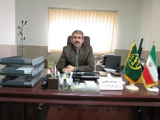 تولید بیش از 3 میلیون تن محصولات زراعی و باغی چهار سال گذشته در شهرستان بابل