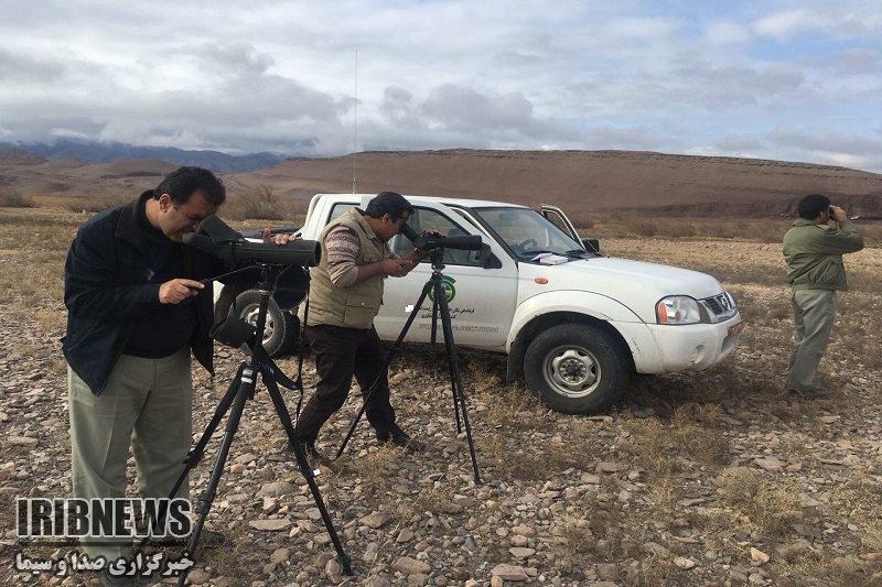آغازسرشماری زمستانی پرندگان در منابع آبی مهاباد آغازسرشماری زمستانی پرندگان در منابع آبی مهاباد