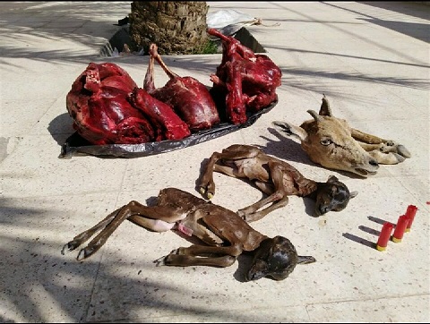 دستگیری بی رحم ترین شکارچیان سال