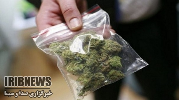 كشف2 كيلوگرم ماده مخدر گل در ايجرود