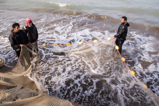 هرصیاد 4نفر را مشغول به کار می کند