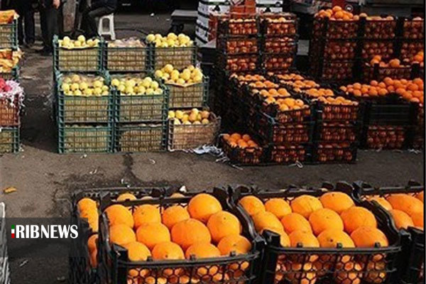 آغاز ذخیره میوه شب عید زنجانی ها آغاز ذخیره میوه شب عید زنجانی ها