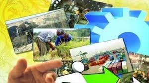 بهره برداری از ۷۵ طرح تولیدی و عمرانی بخش کشاورزی