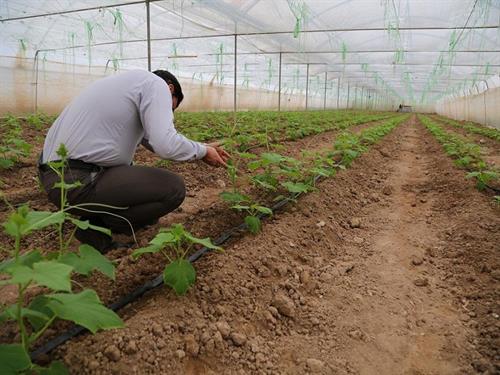 ایجاد 803 شغل جدید برای نیازمندان خراسان جنوبی