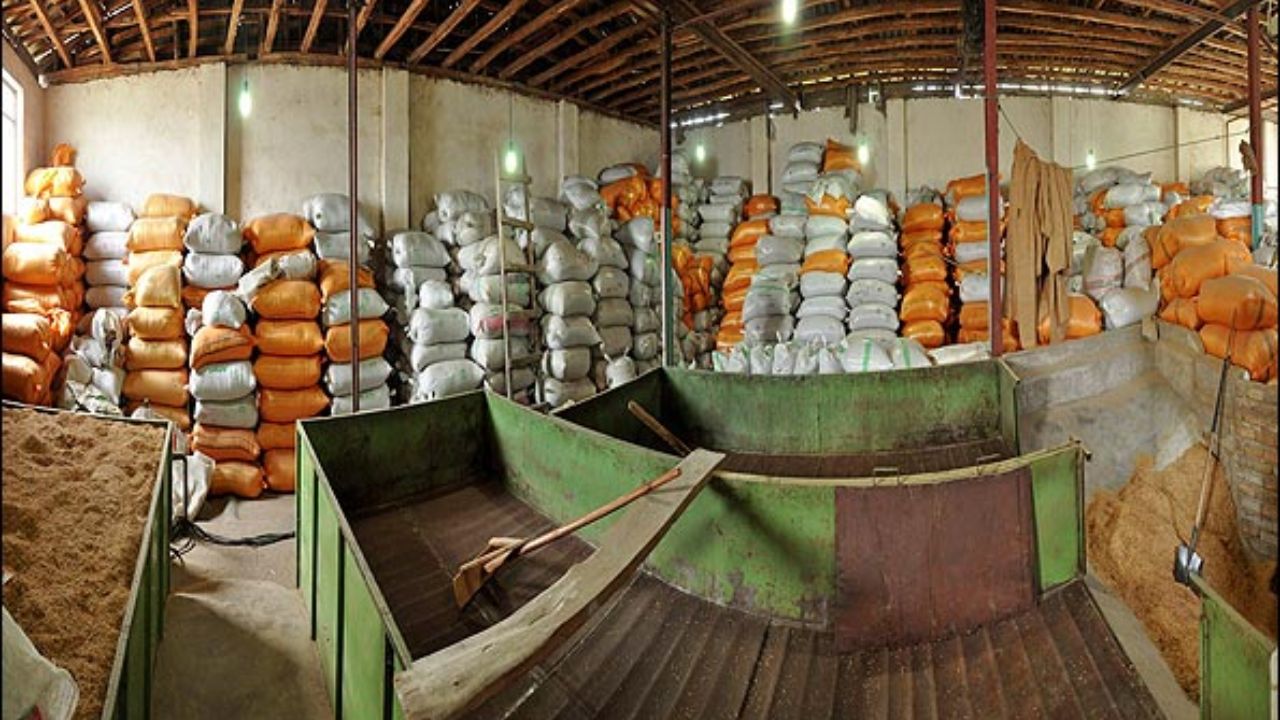 اعلام نرخ حق العمل کاری شالیکوبی ها گیلان