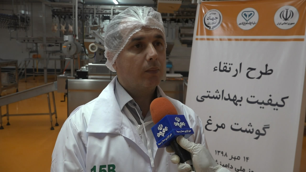 اجرای طرح ارتقاء کیفیت بهداشتی گوشت مرغ در ۱۴ استان کشور
