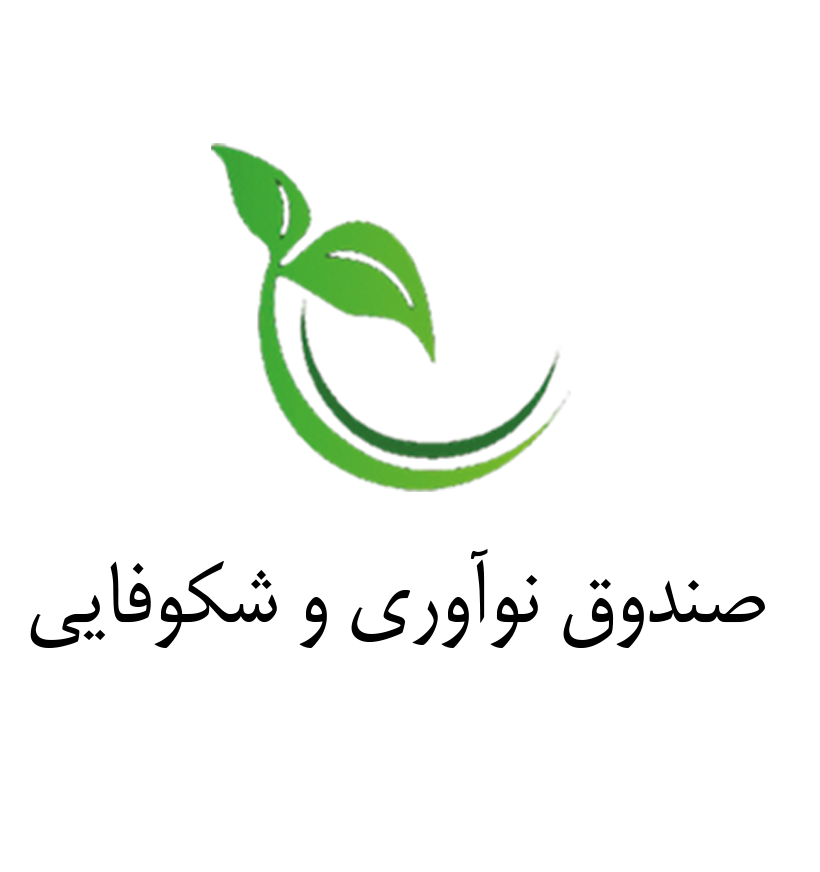 هم افزایی صنعت فولاد و فناوران داخلی