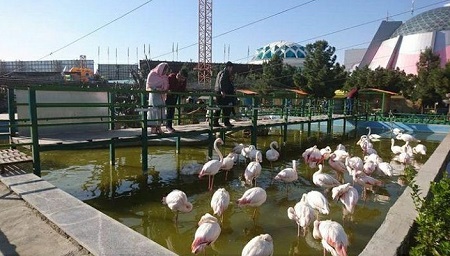 اصلاحات زیست محیطی؛ نجات بخش باغ پرندگان مشهد