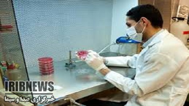 ذخیره سلامتی ذخیره سلامتی