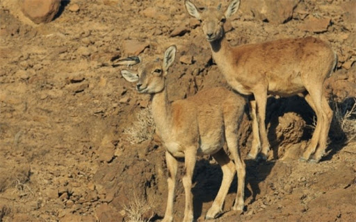 ورود به مناطق تحت مدیریت حفاظت محیط زیست، ممنوع ورود به مناطق تحت مدیریت حفاظت محیط زیست، ممنوع