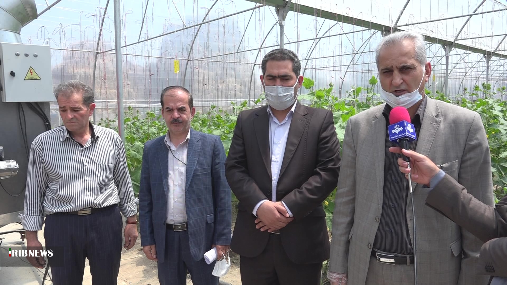 فعالیت هشت واحد گلخانه در شهرستان نیر