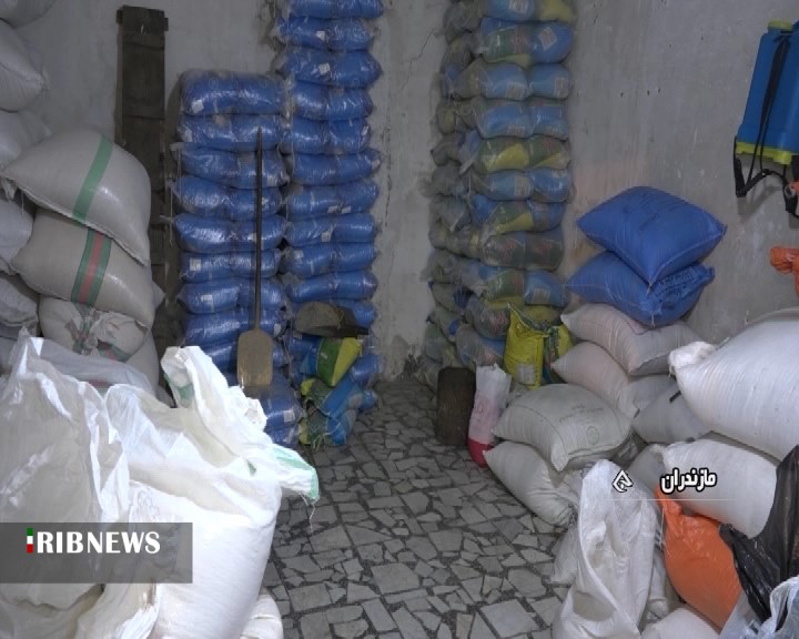 برنج شمال در سایه اختلاط ضربه فنی می&zwnj;شود