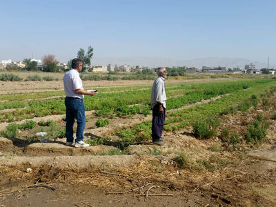 آغاز عملیات مساحی در اراضی  شرکت بهره برداری مارون