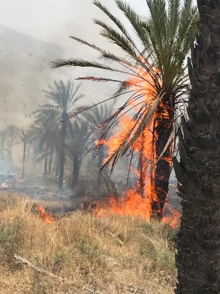 اتش همچنان بلای جان طبیعت در شهرستان مهر