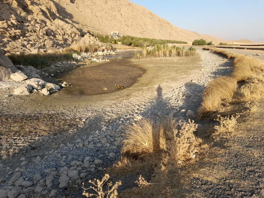 خشکی کم بود آتش هم به جانشان افتاد