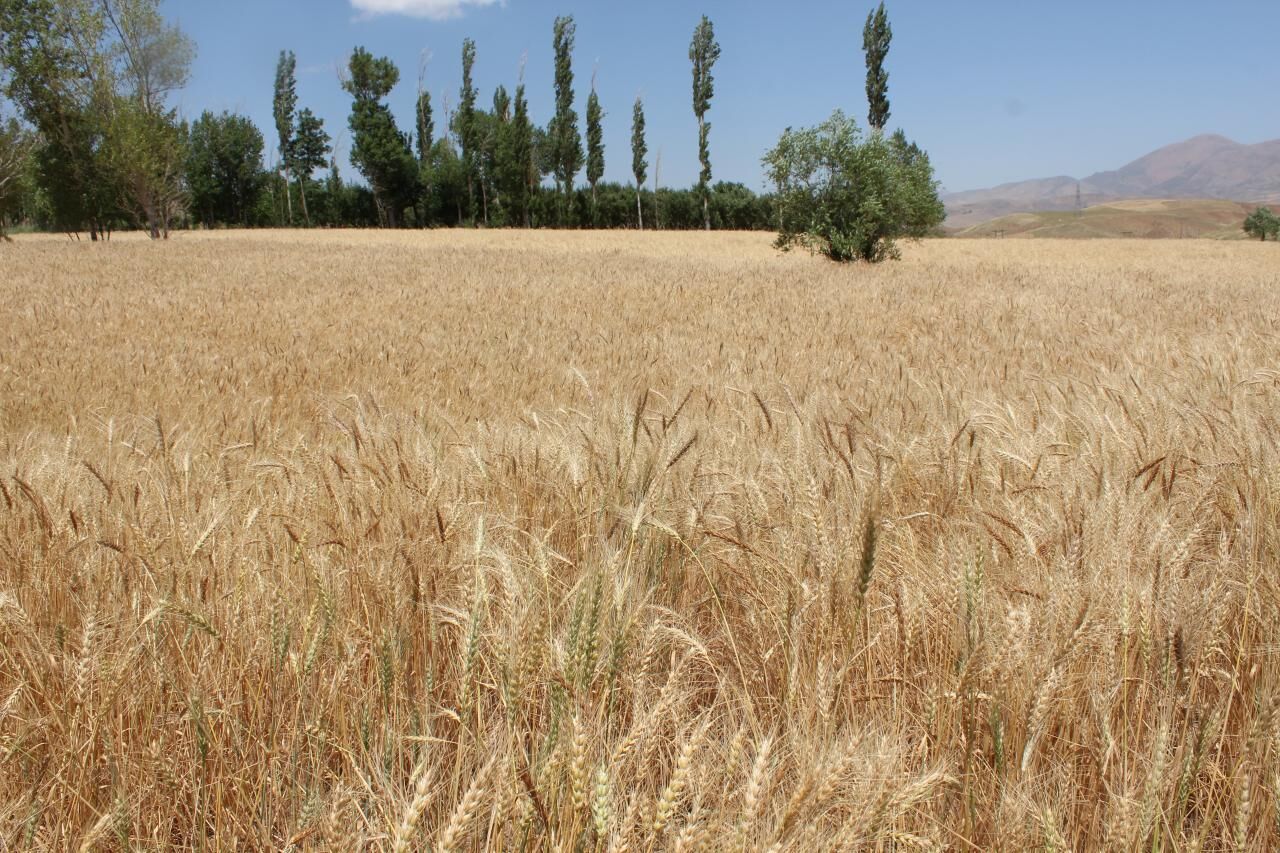 زمین را دریابیم...