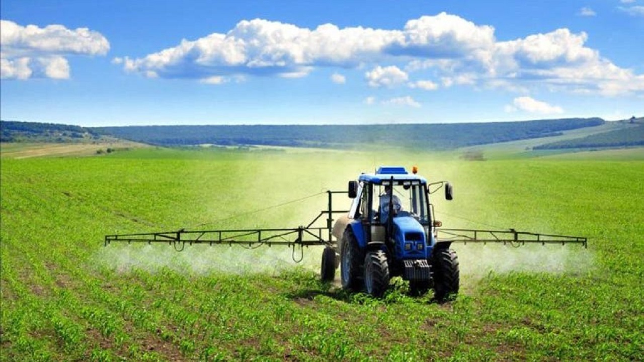 کشت پاییزه در منطقه مغان ۱۲ هزار هکتار افزایش یافت کشت پاییزه در منطقه مغان ۱۲ هزار هکتار افزایش یافت