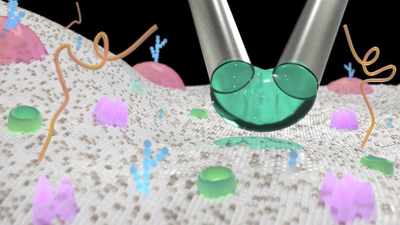 خلاقیت دانشمند ایرانی برای قراردادن ویروس روی یک سلول خلاقیت دانشمند ایرانی برای قراردادن ویروس روی یک سلول