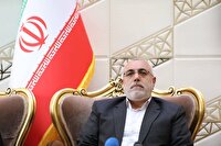 رئیس سازمان حج و زیارت: آمار ورود زائران به سرزمین وحی