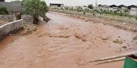 آبگرفتگی و وقوع سیل در برخی مناطق استان زنجان