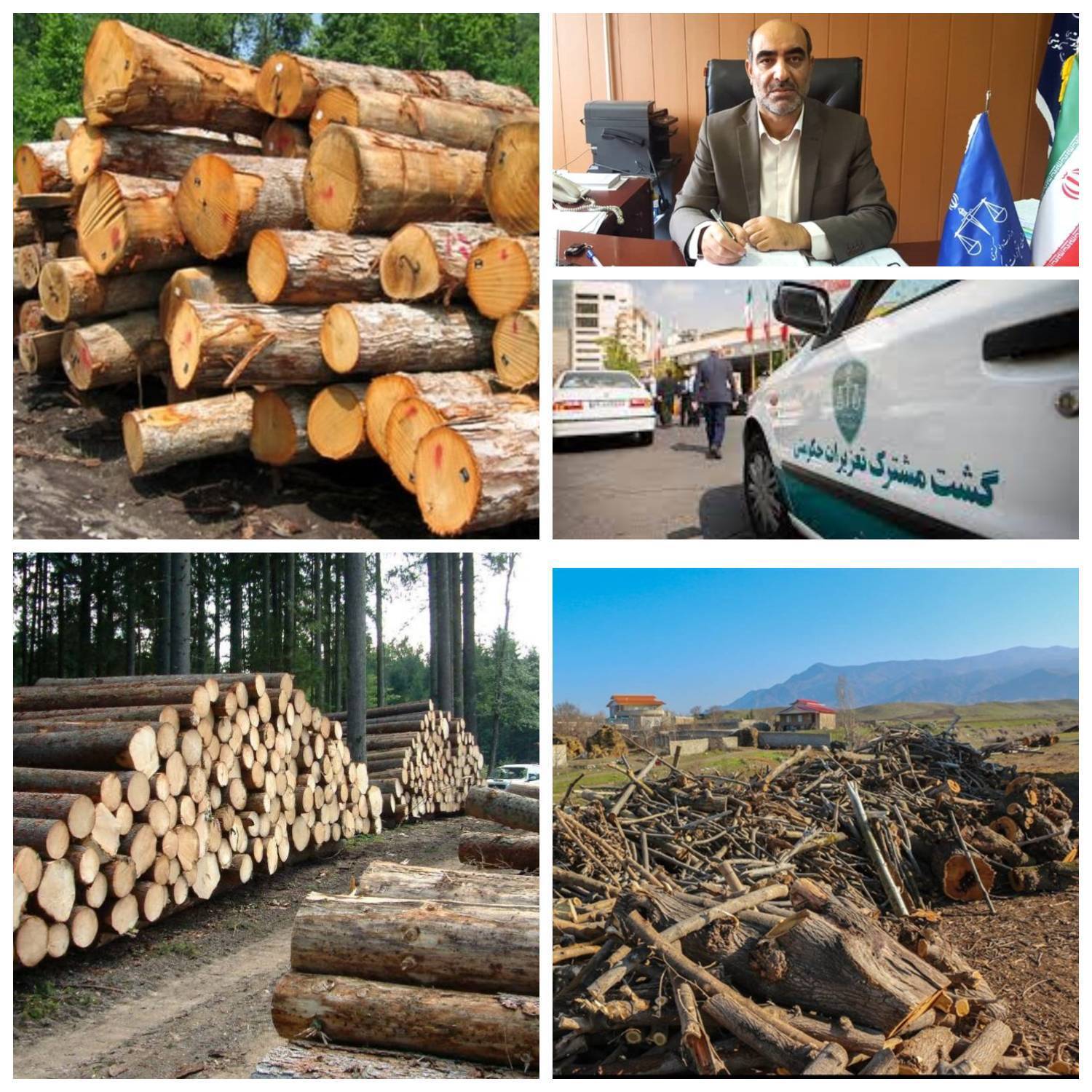محکومیت قاچاقچی چوب در اردبیل محکومیت قاچاقچی چوب در اردبیل