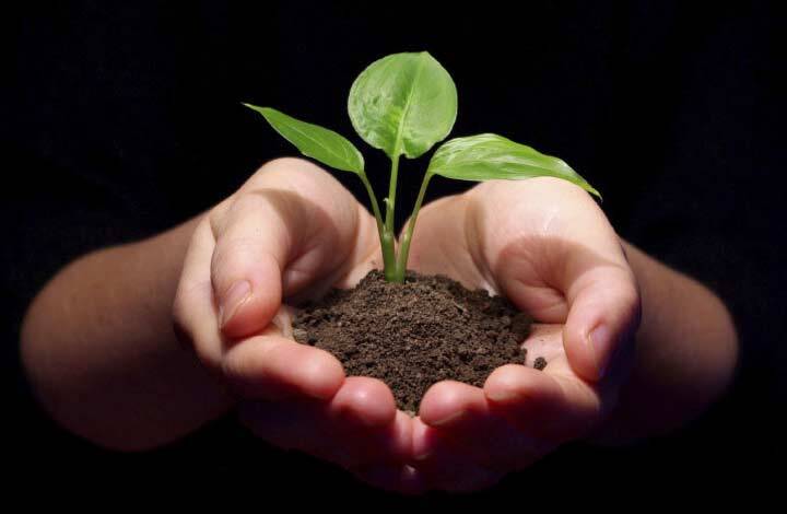 عادت‌هایی که شما را به یک فرد موفق تبدیل می‌کند