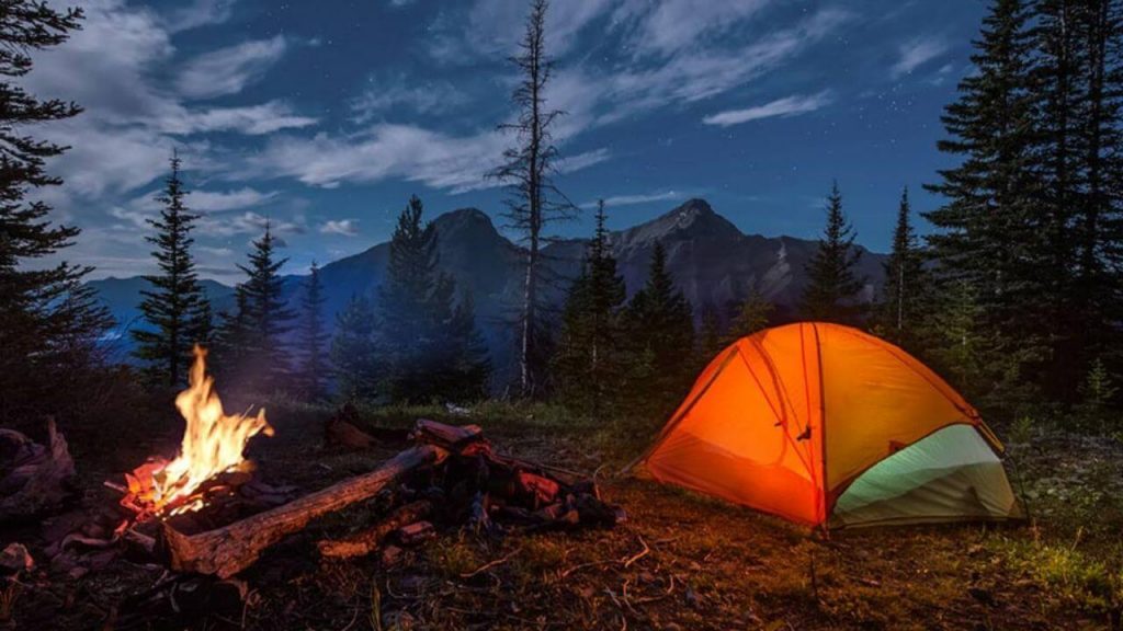 ۱۰ توصیه ضروری برای جنگل نوردی و طبیعت گردی ۱۰ توصیه ضروری برای جنگل نوردی و طبیعت گردی