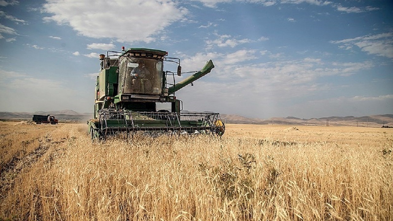 تمام مطالبات گندمکاران کشور پرداخت شد تمام مطالبات گندمکاران کشور پرداخت شد