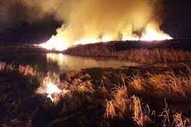 آتشسوزی در تالاب حسنلوی نقده آتشسوزی در تالاب حسنلوی نقده