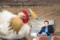 اجرای طرح ردیابی بیماری آنفلوانزای فوق حاد پرندگان در لرستان