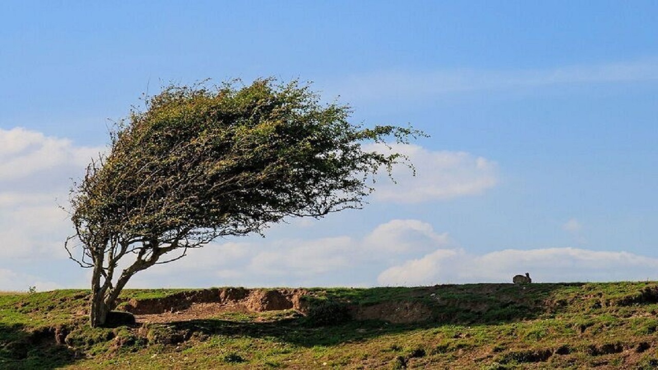 پیش بینی وزش باد و گرد و غبار در استان البرز