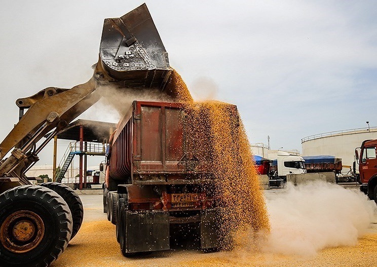 ترخیص بهداشتی بیش از ۱۰ میلیون تن نهاده دام وارداتی از بندر امام خمینی ترخیص بهداشتی بیش از ۱۰ میلیون تن نهاده دام وارداتی از بندر امام خمینی