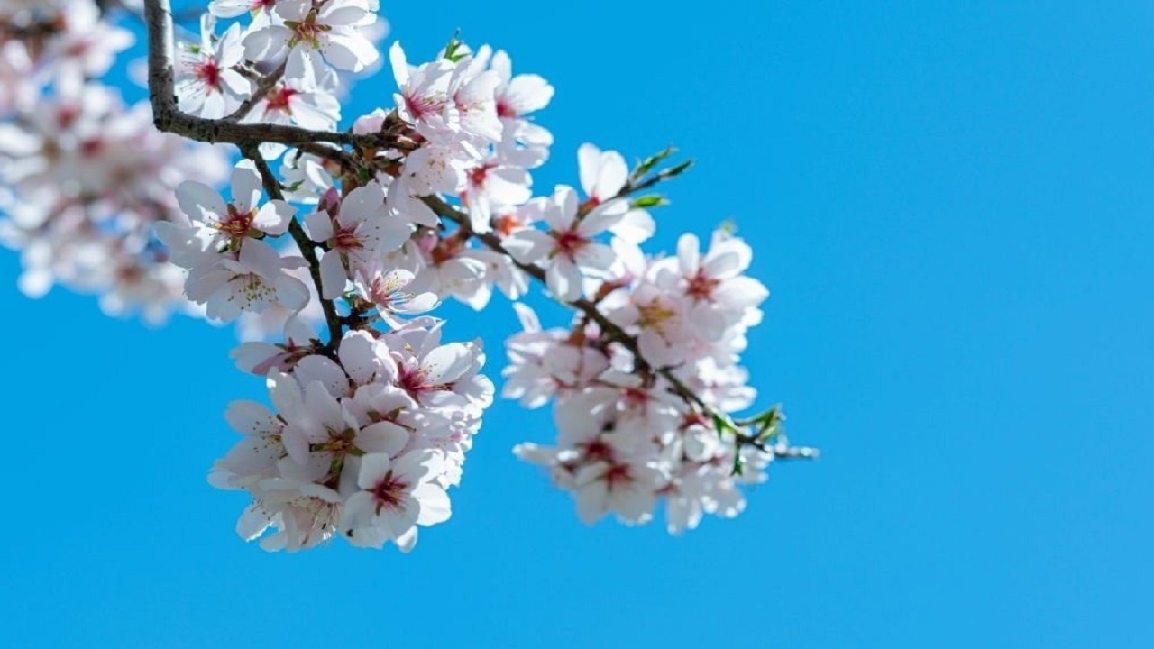 افزایش نسبی دما در آذربایجان غربی افزایش نسبی دما در آذربایجان غربی