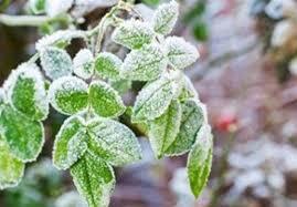 زنجان دومین مرکز استان سرد کشور زنجان دومین مرکز استان سرد کشور