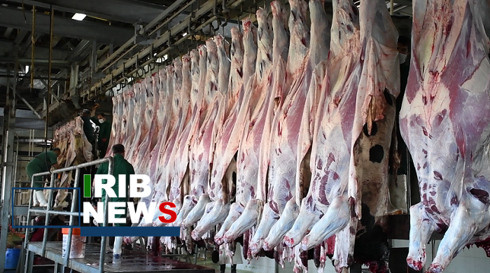 تولید هشت هزار تُن گوشت قرمز به همت عشایر آذربایجان شرقی تولید هشت هزار تُن گوشت قرمز به همت عشایر آذربایجان شرقی