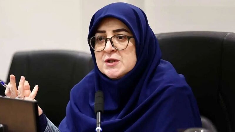 سخنگوی دولت: اتهامات علیه ایران فاقد اعتبارقانونی است سخنگوی دولت: اتهامات علیه ایران فاقد اعتبارقانونی است