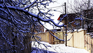 یاسوج زیر چتر برف زمستان