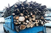 توقیف محموله چوب جنگلی قاچاق در بوانات