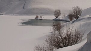 طبیعت برفی فریدونشهر