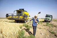 اجرای طرح ملی «پایداری تولید» در ۸ شهرستان استان مرکزی