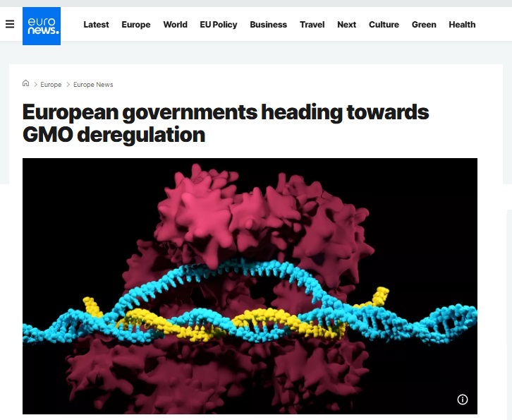 حذف مقررات دست و پاگیر؛ راهکار واقعگرایانه اروپا برای تامین امنیت غذایی کشورهای اروپایی افزایش تولید بذرهای اصلاح شده و گیاهان تراریخته را ضروری می دانند
