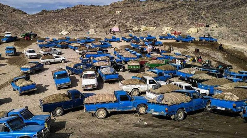 دولت در مبارزه با قاچاق سوخت باید وارد فاز عملی شود