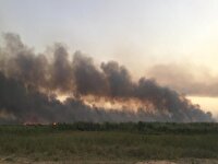 پیگیری بین‌المللی منشا آتش‌سوزی‌ها و ریزگرد‌ها در خوزستان