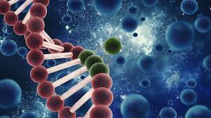 سلول درمانی عوارض عصبی دیابت سلول درمانی عوارض عصبی دیابت