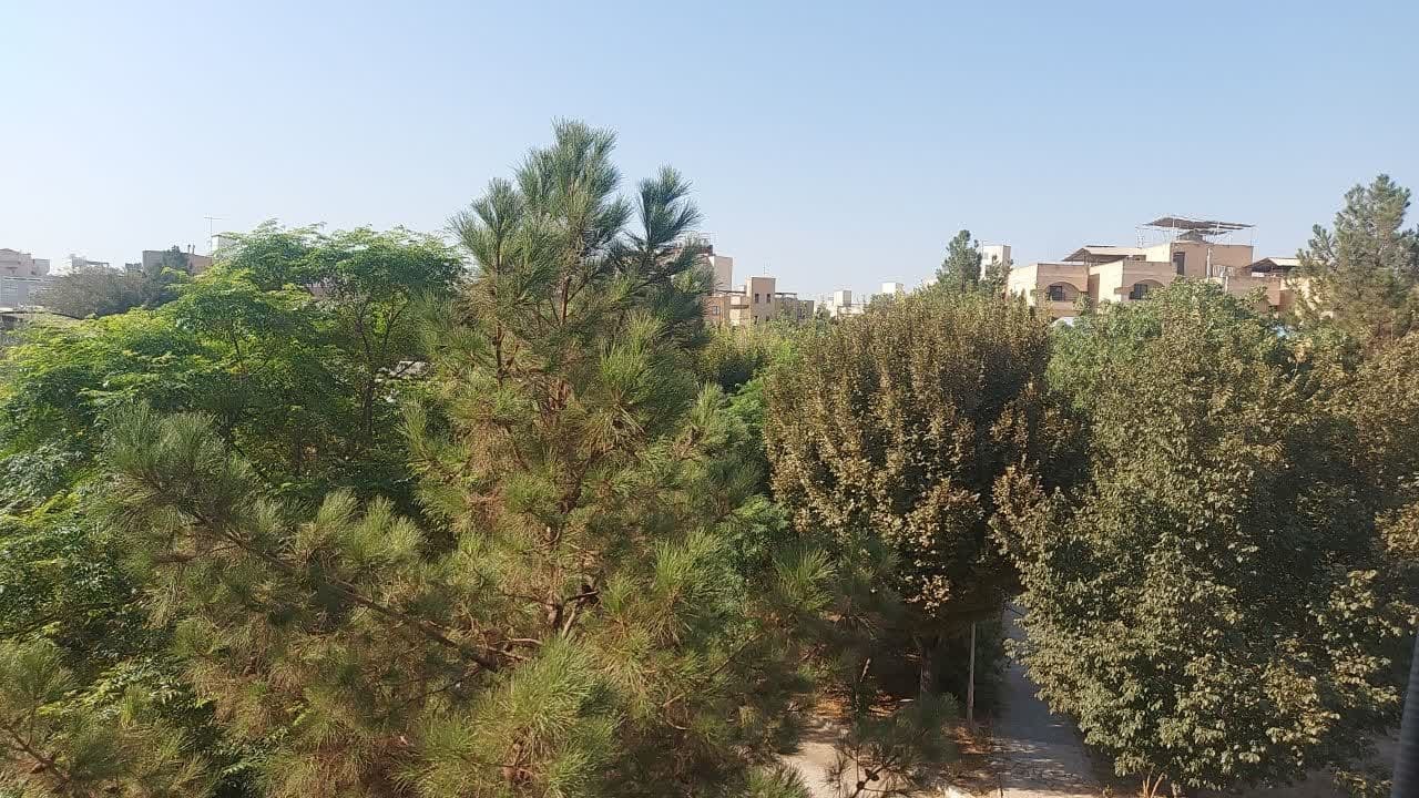 تداوم گرمای هوا در روزهای پیش رو تداوم گرمای هوا در روزهای پیش رو