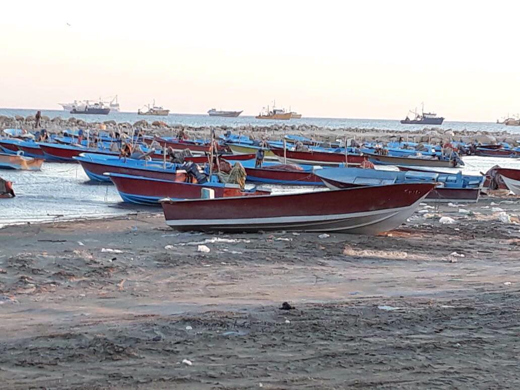 پیش‌بینی وزش باد به‌نسبت شدید در بوشهر